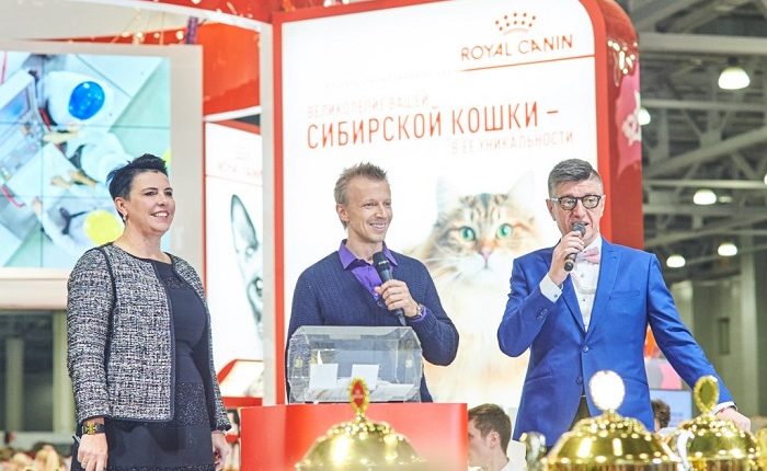 royal_canin