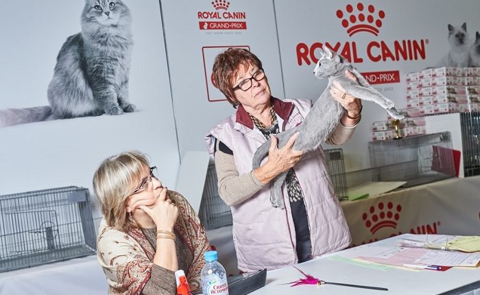 Гран-при Royal Canin