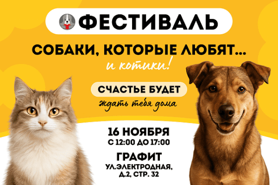 Фестиваль-пристройство «Собаки, которые любят… и котики!» пройдет в Москве 16 ноября
